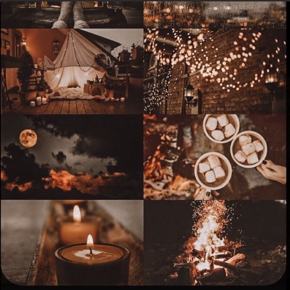 🍁Donated Luxurious champagne plushie blankie🍁 - Picture 4 of 17